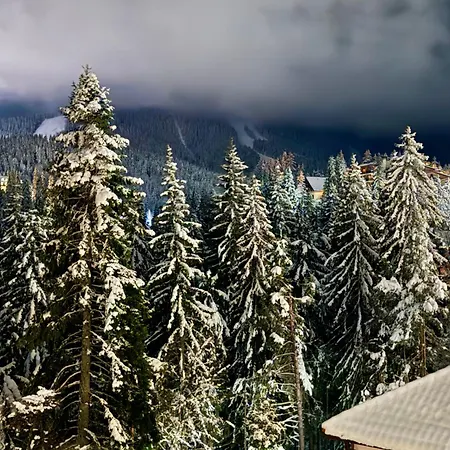 Deluxe 34 Mountain شقة *